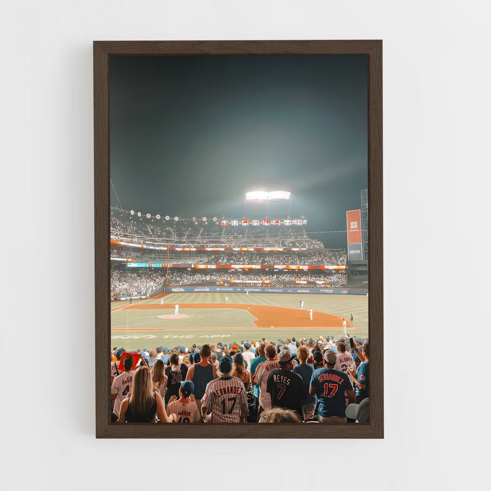 Poster Vue sur le PNC – affiche Baseball (vue 5)